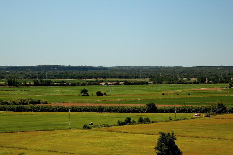 Campos planos da lezíria ribatejana